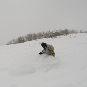 Meet your Posher, Justin